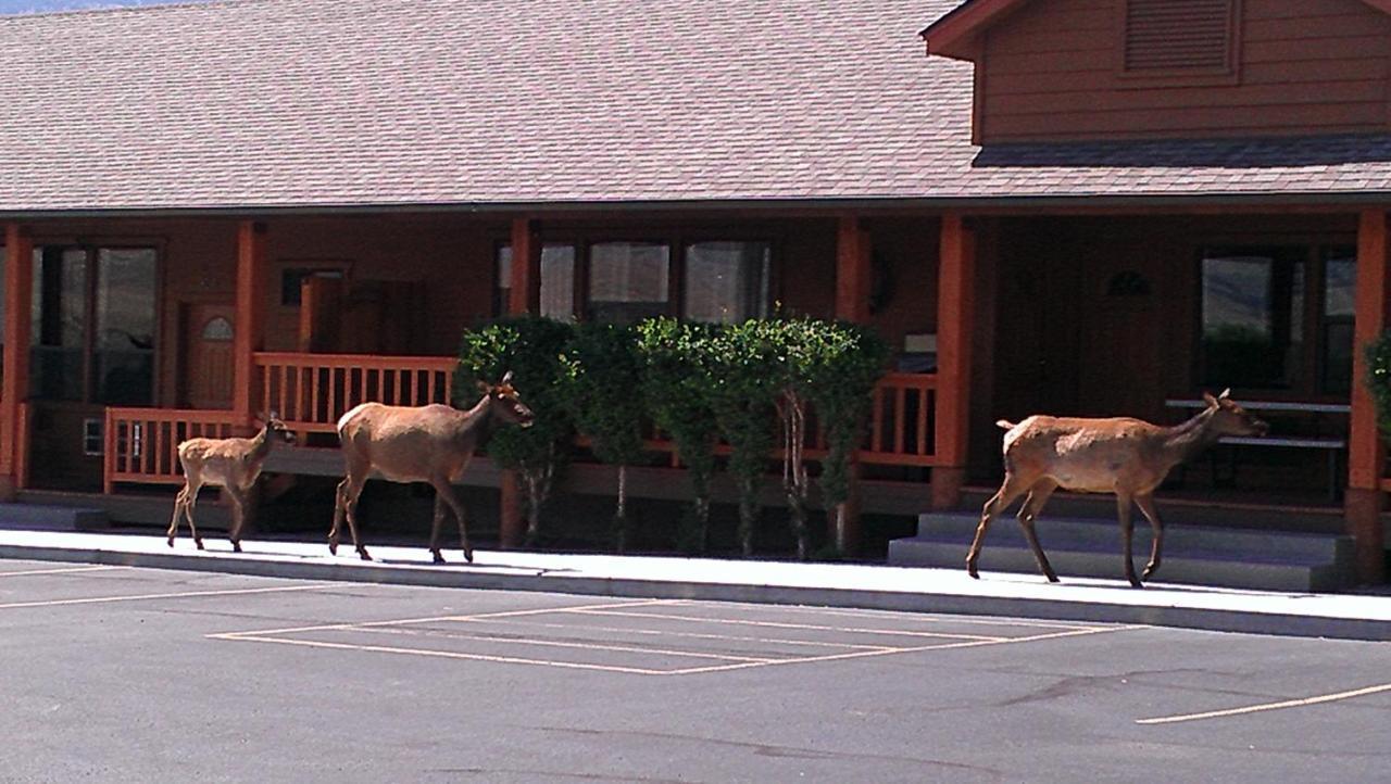 Yellowstone Village Inn And Suites ガーディナー エクステリア 写真